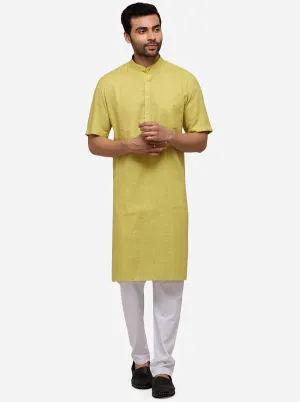 Light Green Self Textured Regular Fit Modi Kurta | JadeBlue